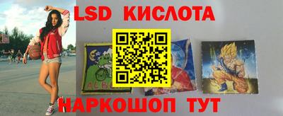PSILOCYBIN Новодвинск