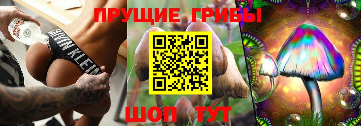 Галлюциногенные грибы ЛСД Шадринск